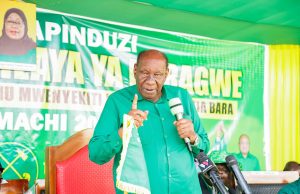 VIONGOZI WA VIJIJI NA VITONGOJI MSIWARUHUSU WAGENI KUPORA ARIDHI – WASIRA