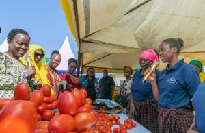 LADIES OF NEW MILLENNIUM WAUNGA MKONO JITIHADA ZA SERIKALI KUPITIA MIRADI YA TASAF MKOANI MWANZA