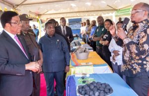 RAFIKI BRIQUETTES YA STAMICO YAMKOSHA WAZIRI MKUU