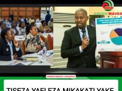 TISEZA YAELEZA  MIKAKATI YA KUVUTIA UWEKEZAJI NCHINI