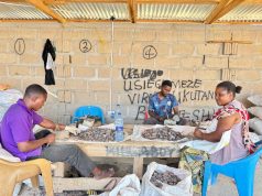 MADINI YAIBUKA KAMA NGUZO YA MAENDELEO MOROGORO