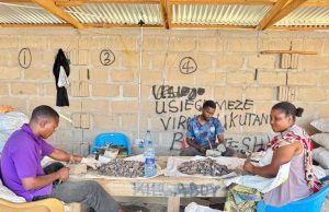 MADINI YAIBUKA KAMA NGUZO YA MAENDELEO MOROGORO