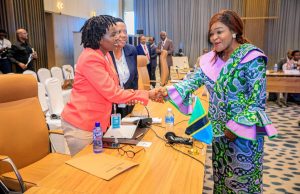 WARATIBU WA KITAIFA WA NCHI ZA JUMUIYA YA UKANDA WA MAZIWA MAKUU – ICGLR WAKUTANA JIJINI KINSHASA