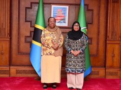 RAIS DKT. SAMIA AZUNGUMZA NA WAZIRI WA USHIRIKIANO WA KIMATAIFA MSTAAFU WA AFRIKA KUSINI