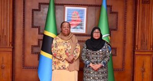 RAIS DKT. SAMIA AZUNGUMZA NA WAZIRI WA USHIRIKIANO WA KIMATAIFA MSTAAFU WA AFRIKA KUSINI