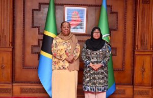 RAIS DKT. SAMIA AZUNGUMZA NA WAZIRI WA USHIRIKIANO WA KIMATAIFA MSTAAFU WA AFRIKA KUSINI