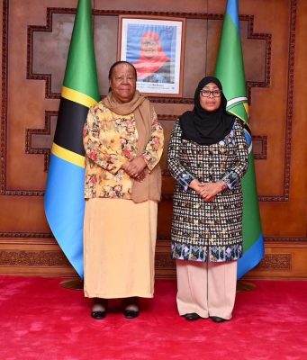 RAIS DKT. SAMIA AZUNGUMZA NA WAZIRI WA USHIRIKIANO WA KIMATAIFA MSTAAFU WA AFRIKA KUSINI