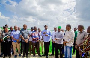 MWANZA YAZIDI KUNG’ARA KUPITIA MIRADI YA UMWAGILIAJI