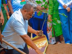 RC CHALAMILA AONGOZA ZOEZI LA UPANDAJI MITI KUSHEHEREKEA SIKU YA KUZALIWA RAIS DKT SAMIA